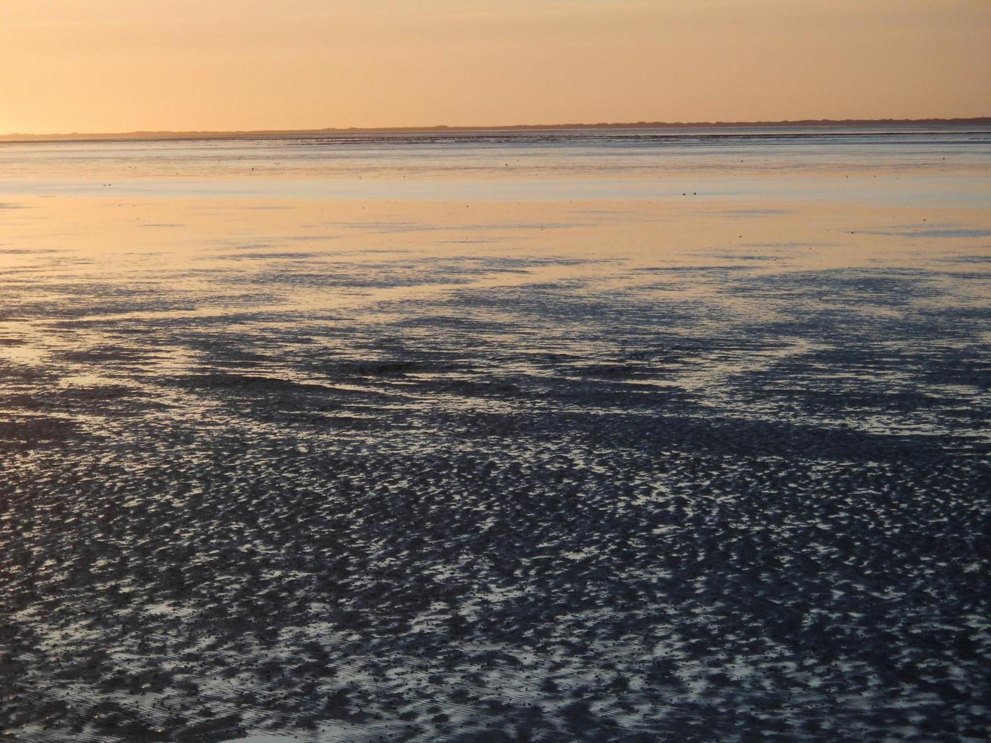 Moewennest Villa Neuharlingersiel Luaran gambar