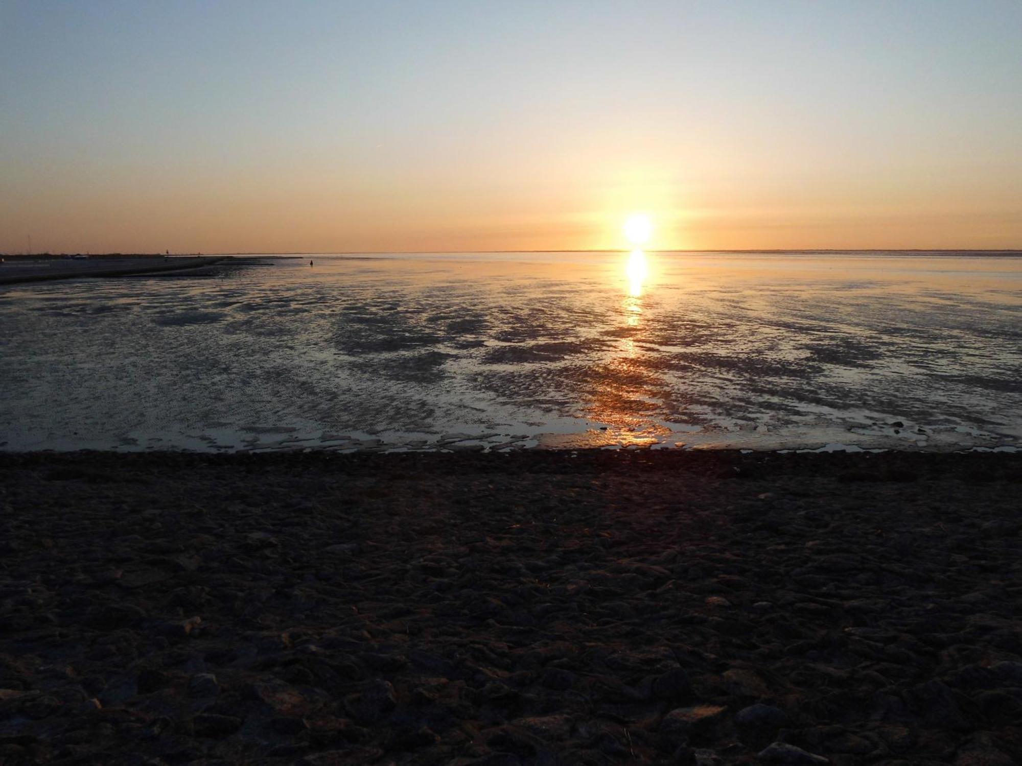 Moewennest Villa Neuharlingersiel Luaran gambar