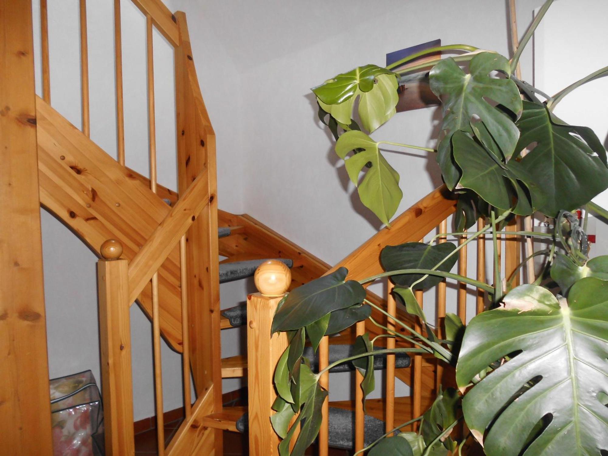 Moewennest Villa Neuharlingersiel Luaran gambar