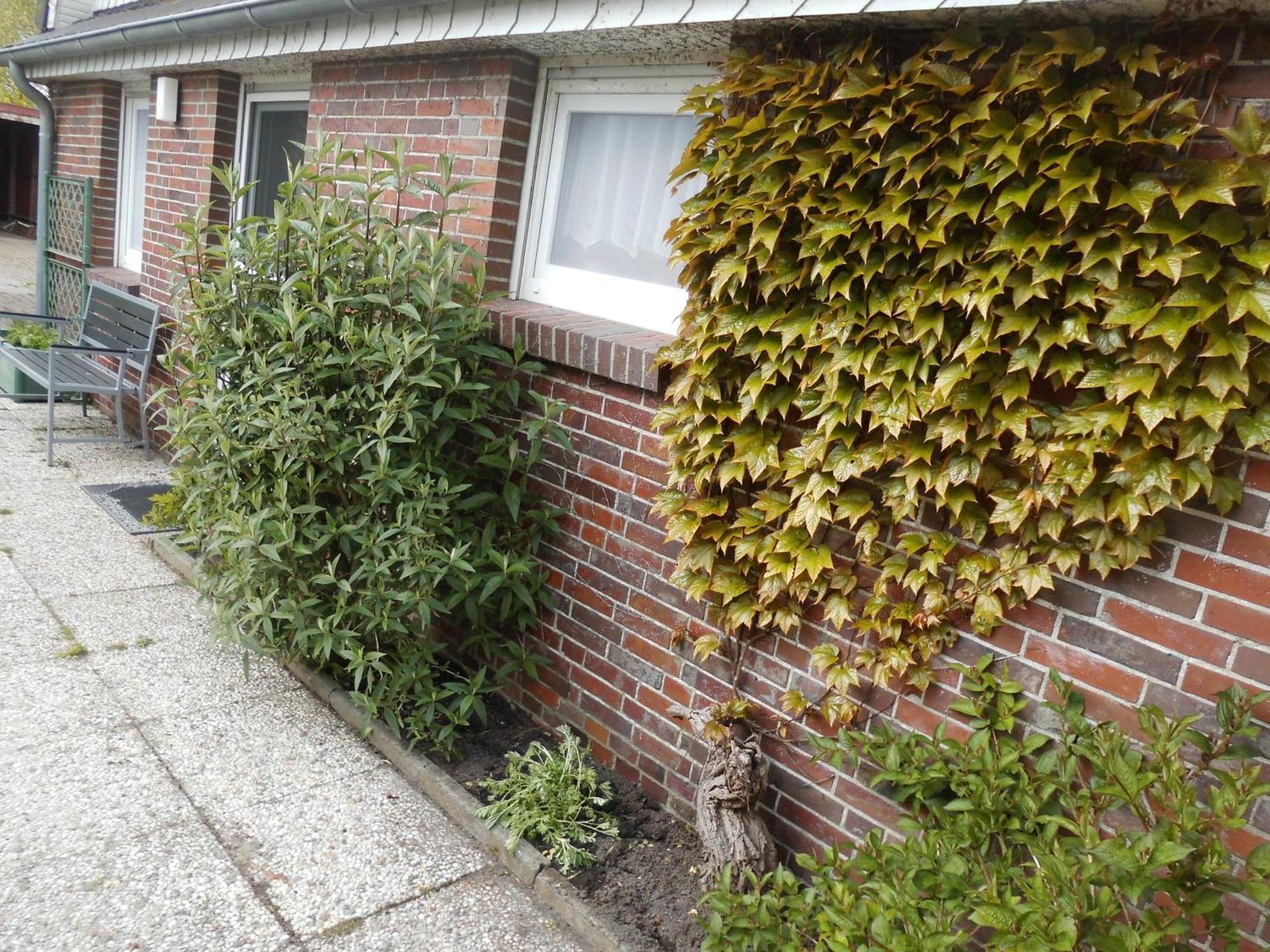 Moewennest Villa Neuharlingersiel Luaran gambar